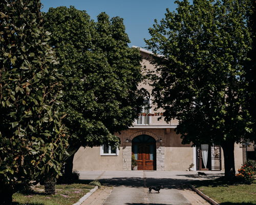 Food & Wine Tours Sant'Agata de' Goti: A day in a Falanghina DOP vineyard