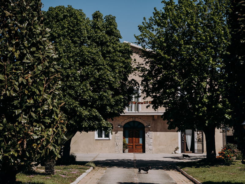 Tour enogastronomici Sant'Agata de' Goti: Giornata in una vigna di Falanghina DOC