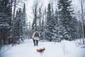 Man wearing an Isle Royale pack pulling a tobagan through the snowy woods.