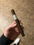 caption