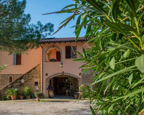 Corsi di cucina Assisi: Lezione di cucina tipica Umbra: gli Strangozzi al Tartufo
