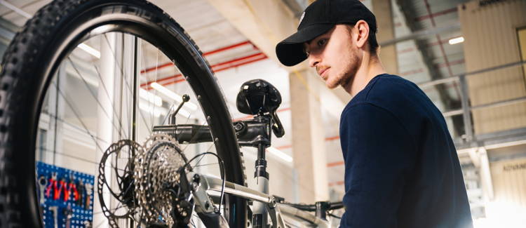 Bike overhaul on sale