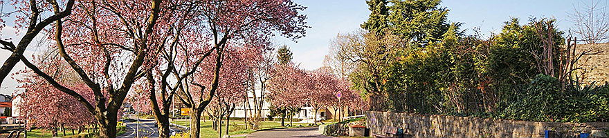  Bensheim
- Mit den Immobilienmaklern von Engel & Völkers gestaltet sich Ihr Haus- oder Wohnungsverkauf reibungslos.
Ob Villa, Einfamilienhaus oder großzügige Wohnung.