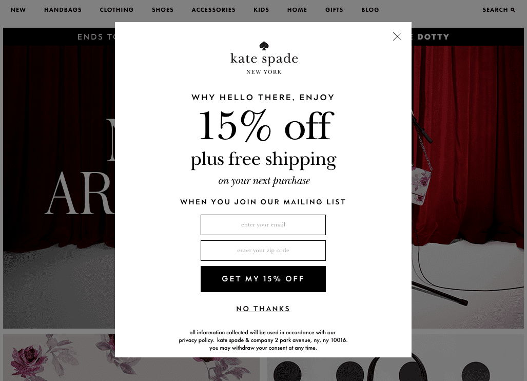 email subscription based discount popup