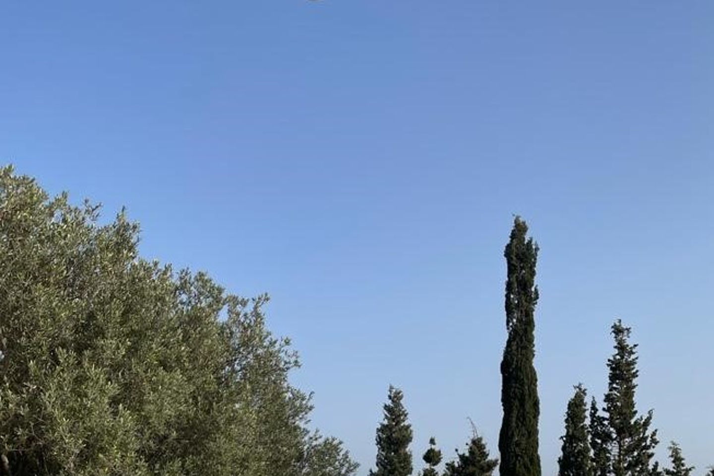 slider-image