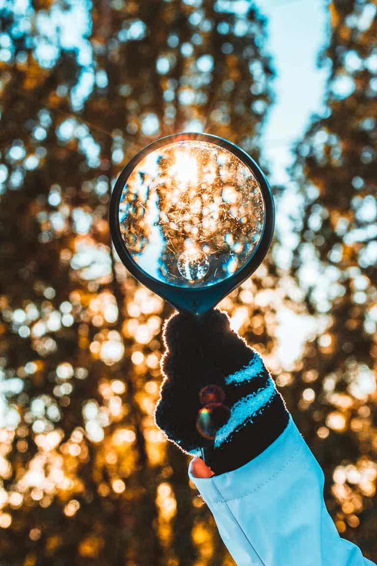 Gloved hand holds a magnifying glass reflecting sunlight through trees in a forest.