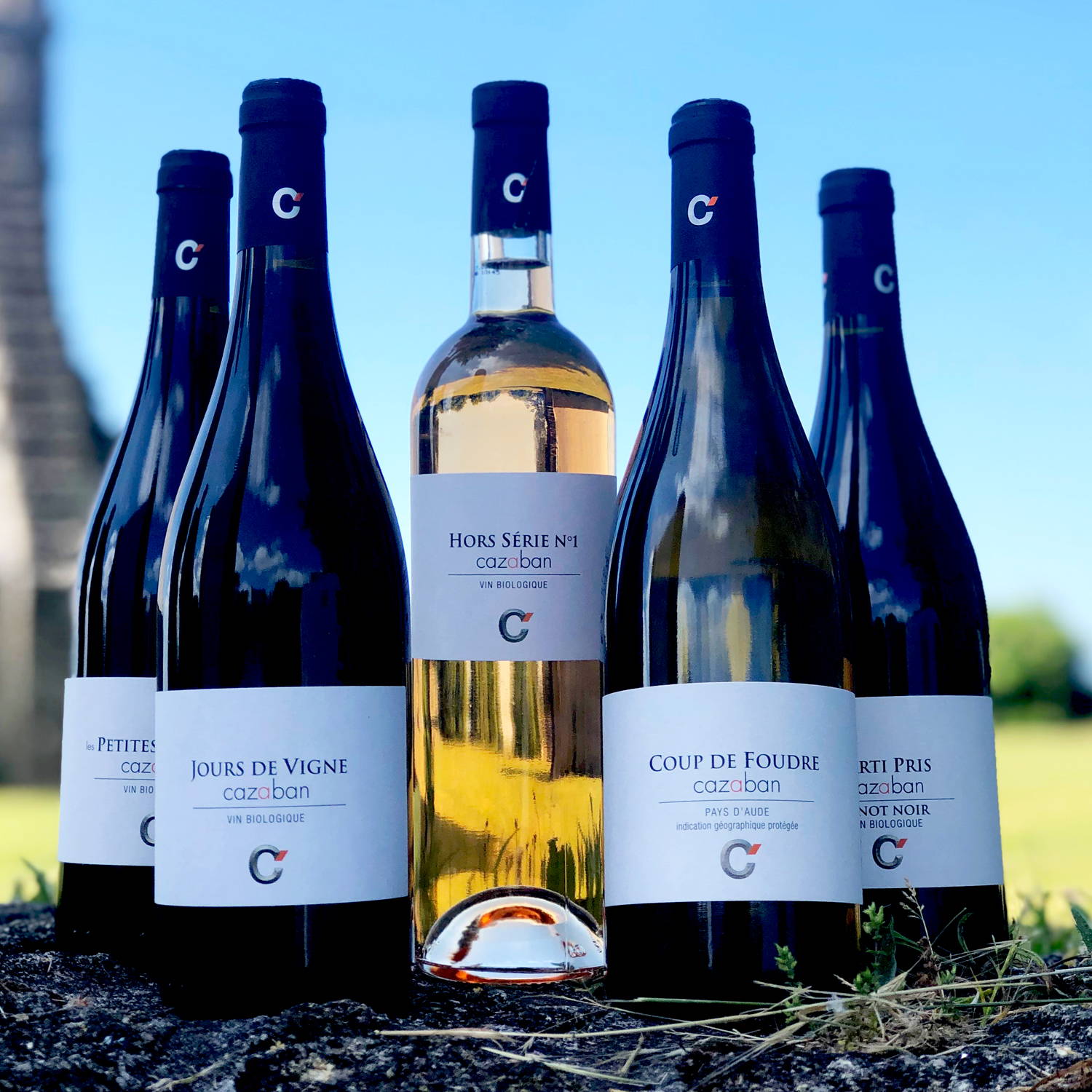 emmanuel taillez, domaine cazaban, joseph parcé, cabardès, languedoc, vin nature, vin bio, vin rouge, vin blanc, vin rosé, raw wine, organic wine, vin naturel, vin sans intrants, vin propre, vin sain, merlot, cabernet, syrah, grenache, mourvèdre, carignan, roussanne, vermentino, grenache blanc, montagne noire
