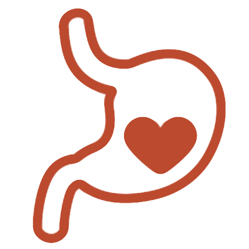 Stomach with a heart in the middle,symbolizing healthy digestion, a reason to choose best apple cider vinegar singapore