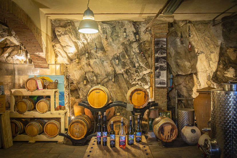 Tour enogastronomici Riomaggiore: Visita del vigneto, degustazione di vino e prodotti locali