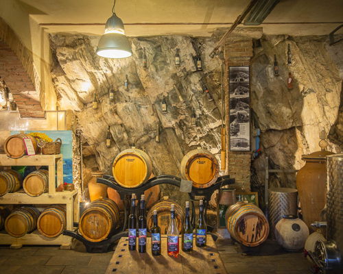 Tour enogastronomici Riomaggiore: Visita del vigneto, degustazione di vino e prodotti locali