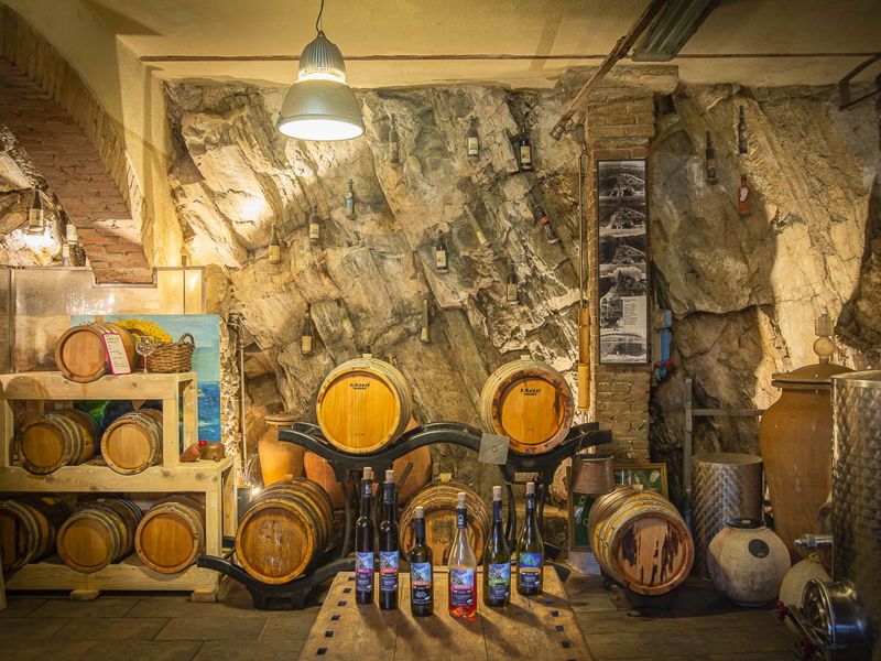 Tours enogastronómicos Riomaggiore: Visita al viñedo, cata de vinos y productos locales.