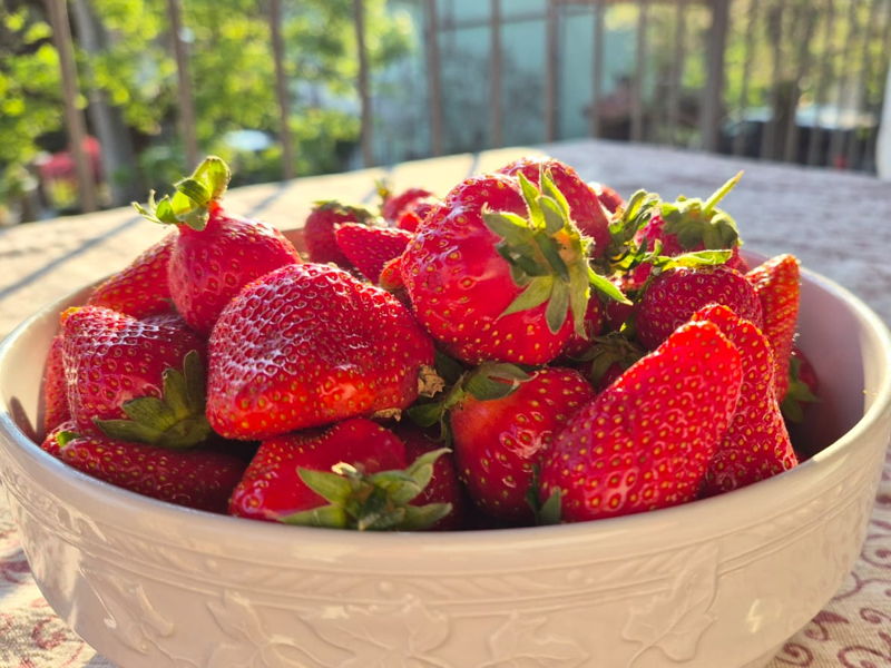 Food & Wine Tours Pocapaglia: Strawberry jam: from harvest to jar!