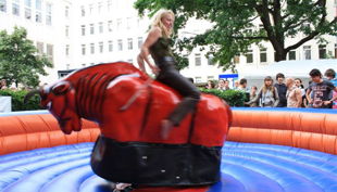 bullriding neu