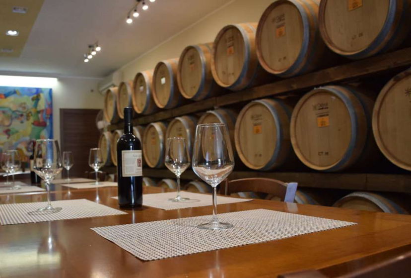 Food & Wine Tours Guagnano: Lecce: Winery tour and tasting of 4 wines