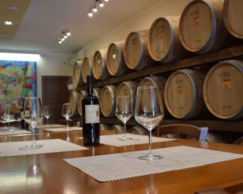 Food & Wine Tours Guagnano: Lecce: Winery tour and tasting of 4 wines