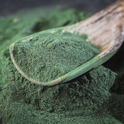 Spirulina powder