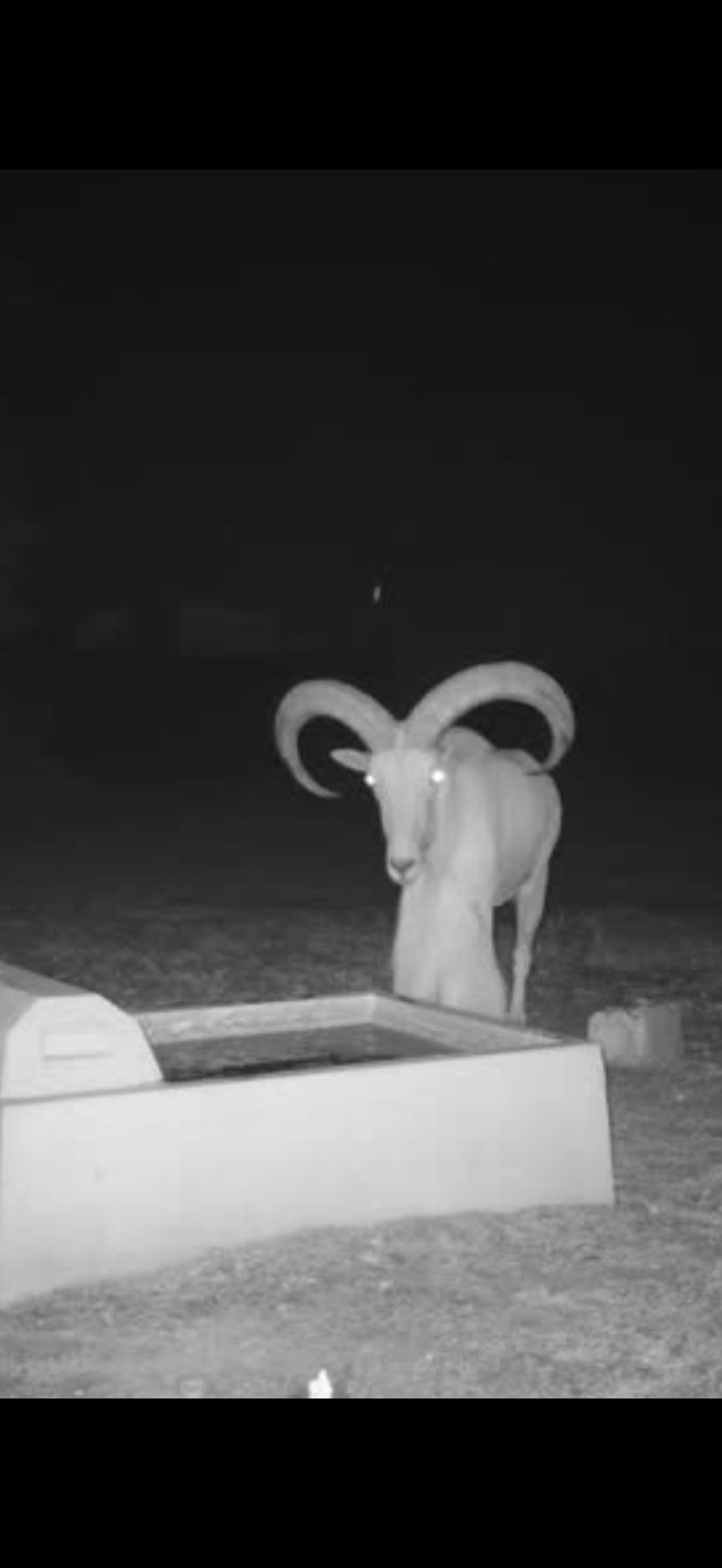 PM Guiding Service hunt photo