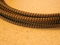 SILVER SPEAKER CABLES  LYRE 10' Convertible Speaker Cab... 6