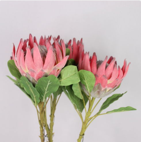 King Protea - Realistic Artificial Flowers - Image 3