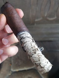 Cigar Session Photo