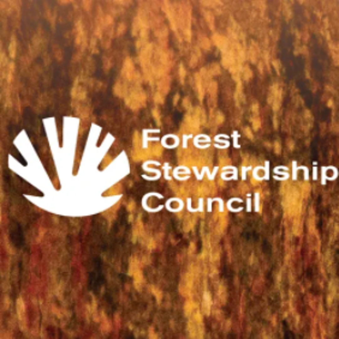 Image of Forest Stewardship Council Rebranding