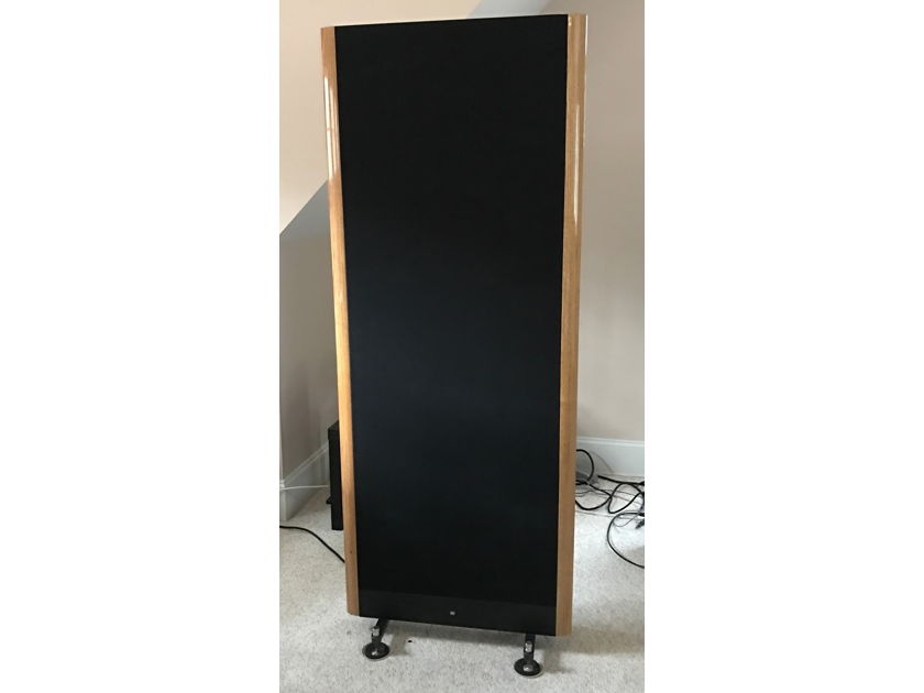 King Sound Model 1 Electrostatic Speakers with VAC upgraded power supply