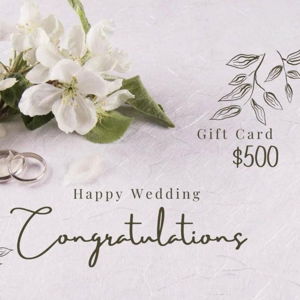 Our Newlywed Fund ($500 Gift)