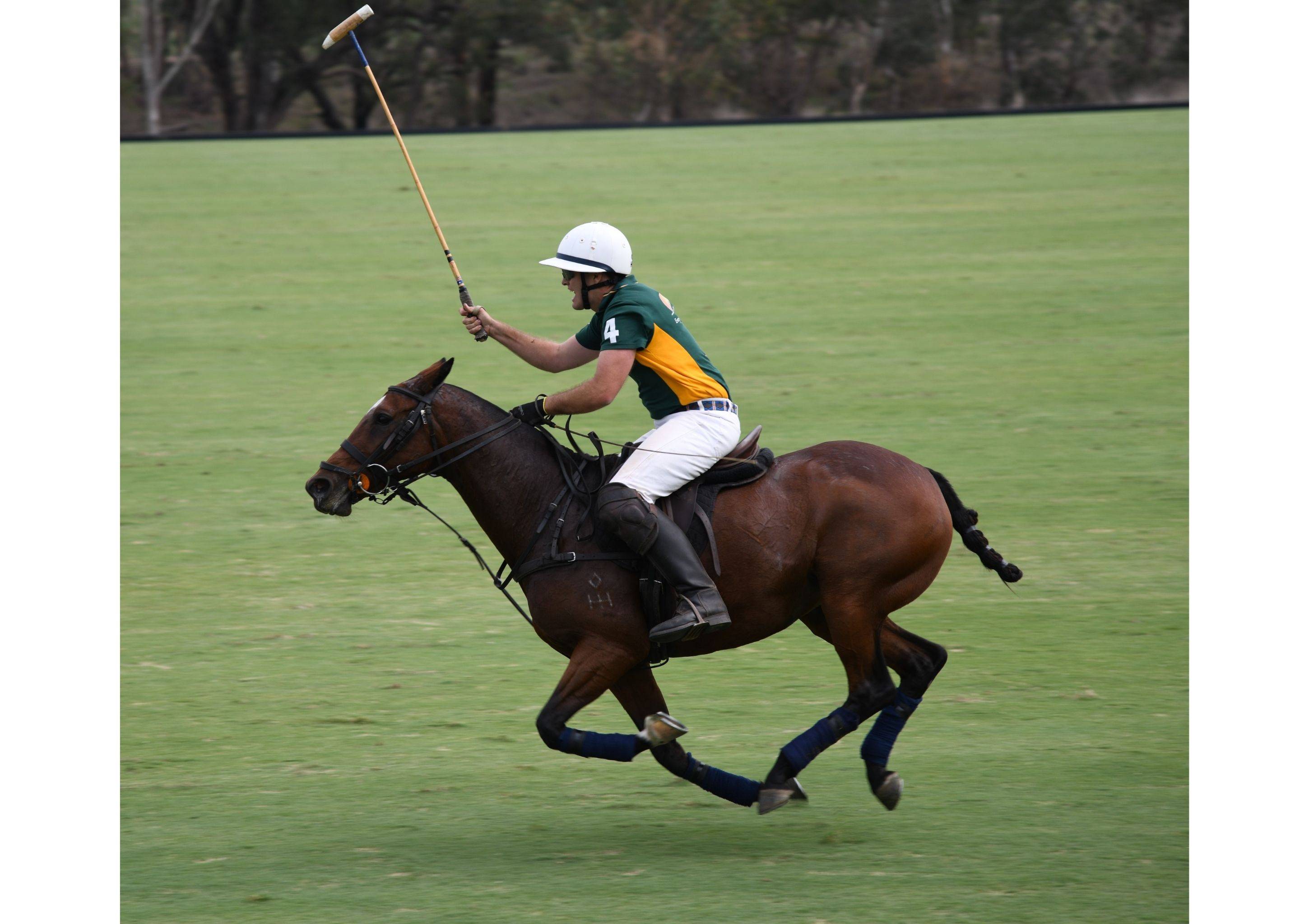 Harry Playing Polo