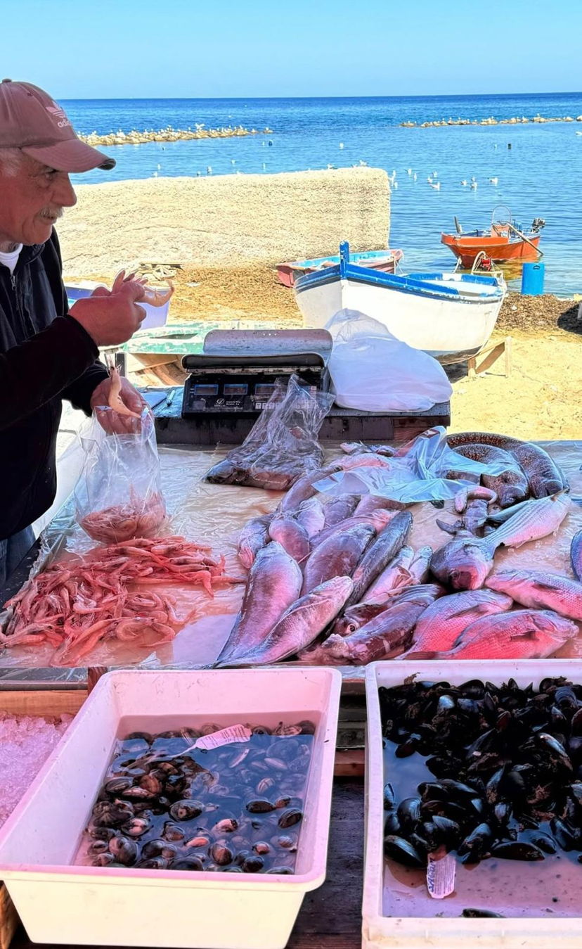 Food & Wine Tours Villabate: Tour around Aspra fish market and typical cooking class