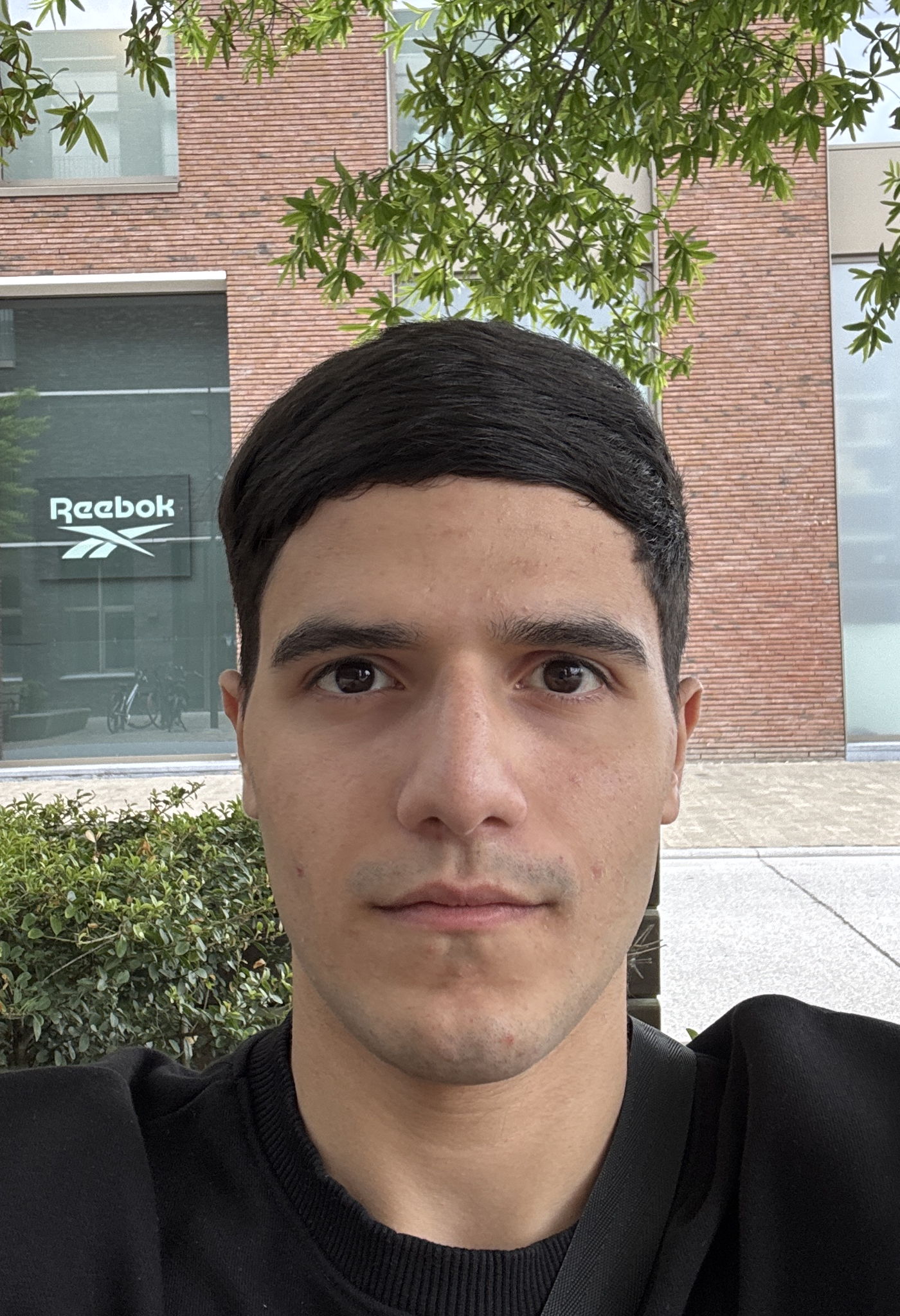 David  Arakelyan