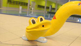 bg wonnemar marktheidenfeld gelbe schlange