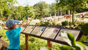 westfälisches pferdemuseum afrikapanorama allwetterzoo