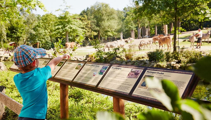 westfälisches pferdemuseum afrikapanorama allwetterzoo