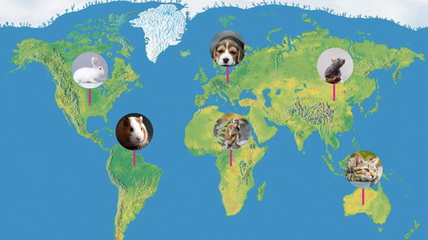 World Day for Animals in Laboratories – join the fight against animal ...
