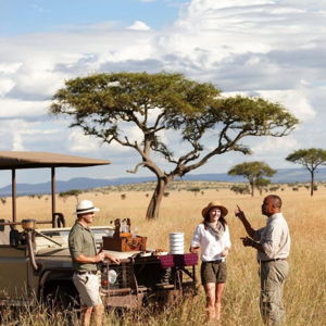 Honeymoon Fund: African Safari Adventure!
