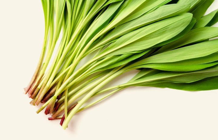 3 Facts About Ramps | RICARDO
