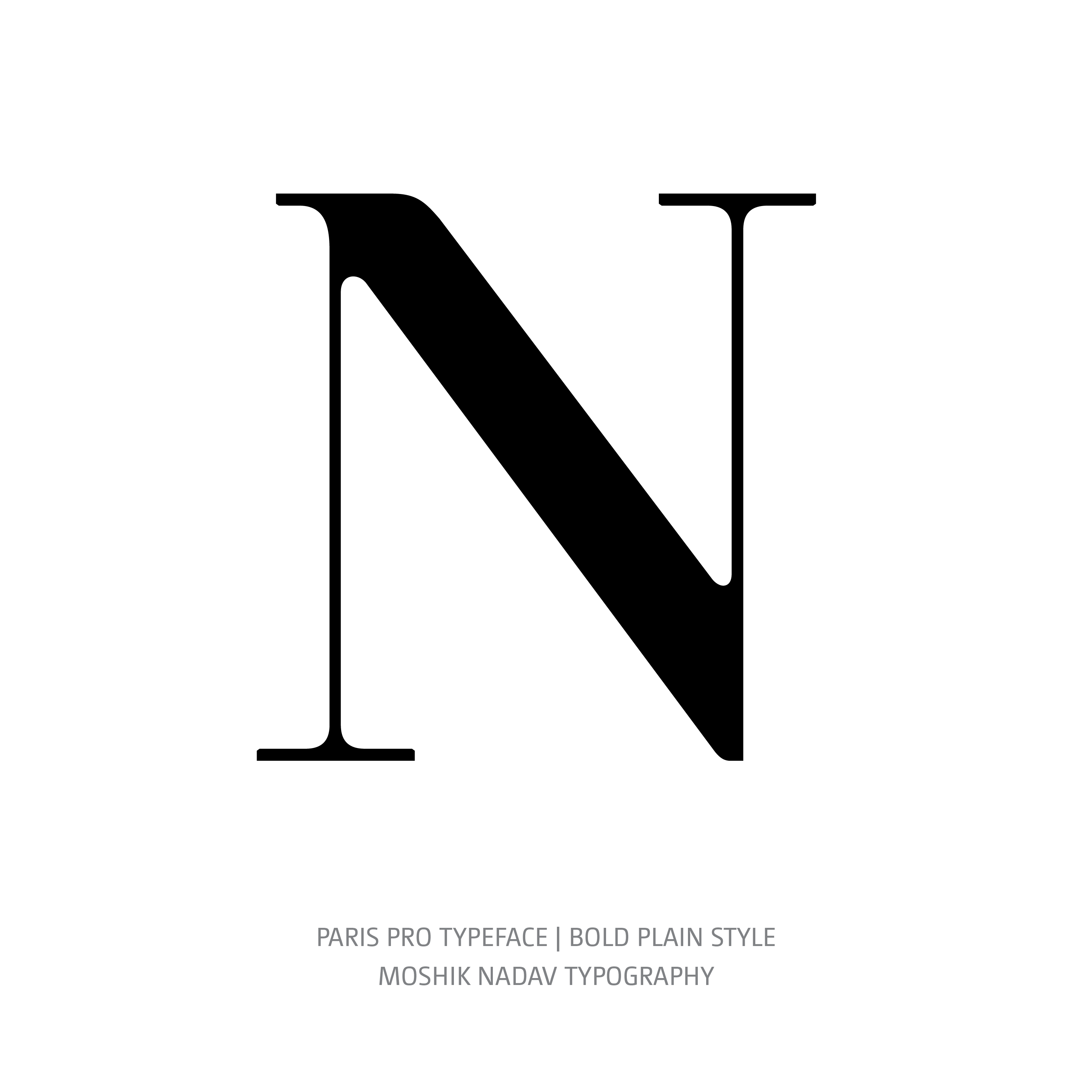 Paris Pro Typeface Regular Bold N