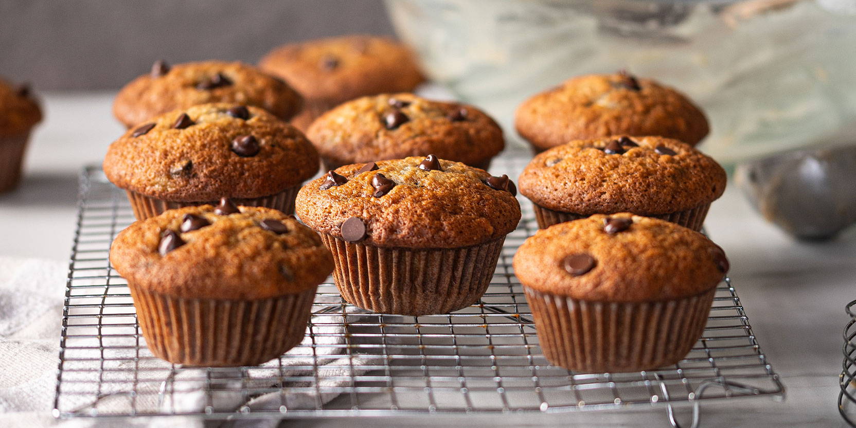 muffins made woth collagen