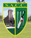 Sarisbury Athletic logo