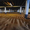 Malting floors aires de maltage de la distillerie Laphroaig sur l'île d'Islay dans les Hébrides intérieures d'Ecosse