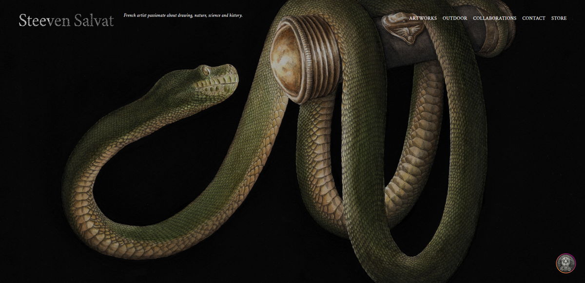 Screenshot of Steeven Salvat, from the squarespace artist websites collection.
