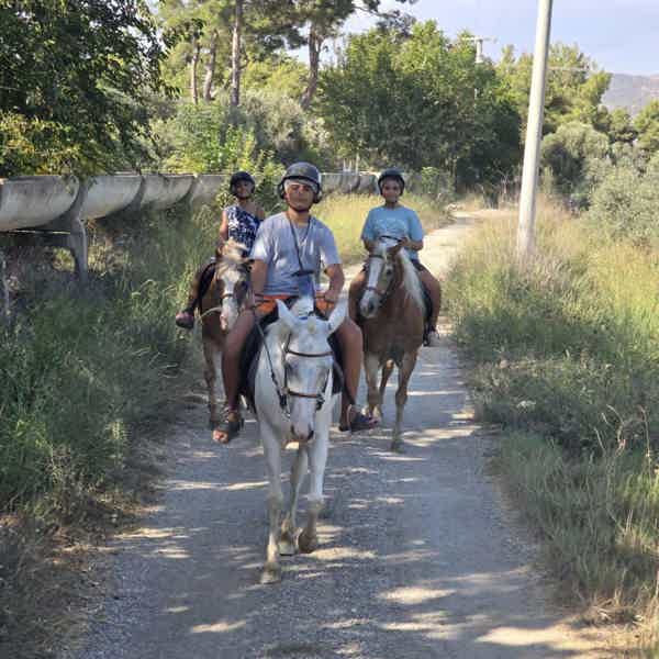 Horse Safari and Family Activity Park Entry in Side - photo 3