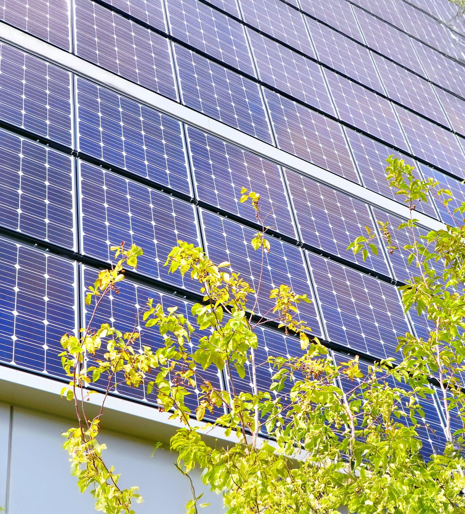 Read the full article here