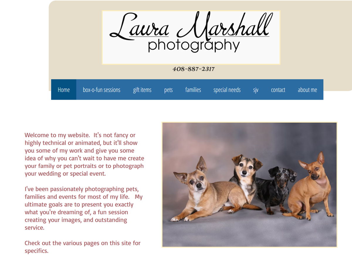 Screenshot of Laura Marshall Photography, from the wix photography website examples collection.