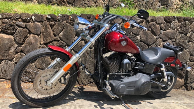 harley davidson beach cruiser