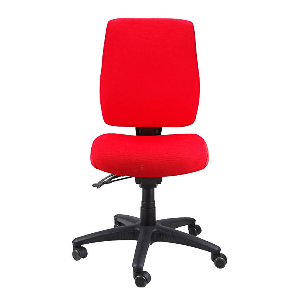 ergoform office chair for lower back pain