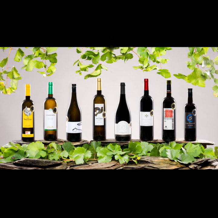 Étoiles du Valais 2022 – La grappe mandatée par Swiss Wine Valais