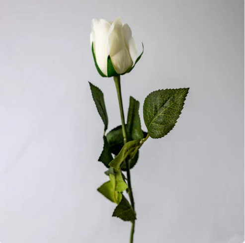 White Real Touch Open Bud Rose - Realistic Artificial Flowers - Image 3
