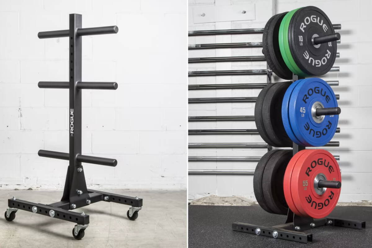 plate tree review plate tree review