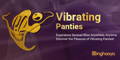 vibrating panties